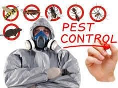 Pest Control Auckland