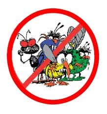 Pest Fly Control Auckland