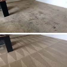 Carpet Cleaning Auckland
